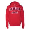 3719 Unisex Sponge Fleece Hoodie Thumbnail